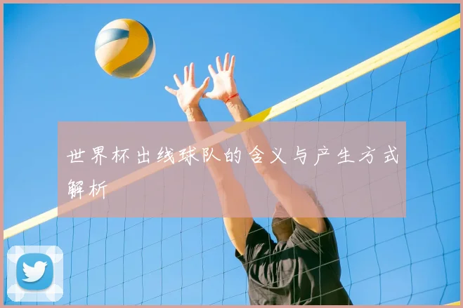 世界杯出线球队的含义与产生方式解析