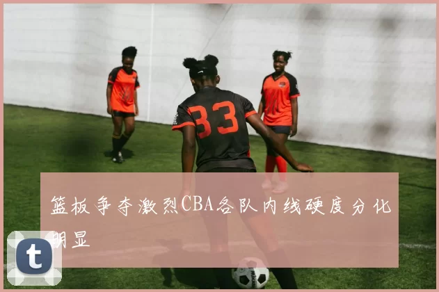 篮板争夺激烈CBA各队内线硬度分化明显